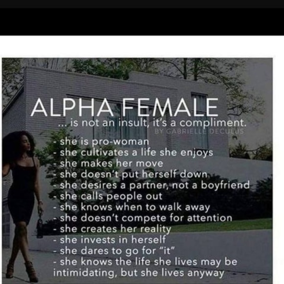 Meet your Posher, Laini - Picture 1 of 1